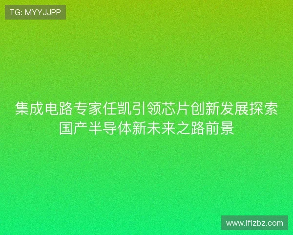 集成电路专家任凯引领芯片创新发展探索国产半导体新未来之路前景